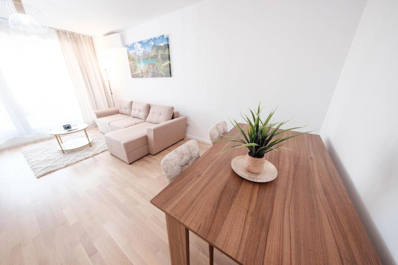 Brand New Luxury Apartment In The Heart Of ブラショフ エクステリア 写真