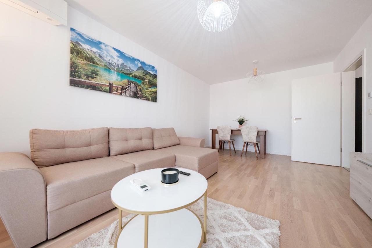Brand New Luxury Apartment In The Heart Of ブラショフ エクステリア 写真